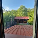 Rebeka Трявна